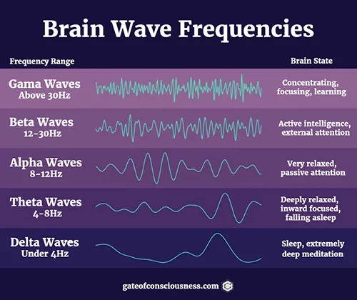 Diagram with the brain wave frequencies that explain the connection between the state akin to sleep and theta waves.