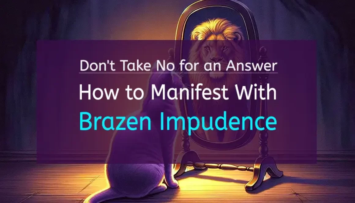 How to Manifest With Brazen Impudence: Don't Take No for an Answer