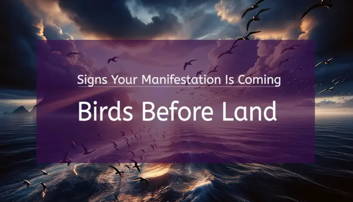 Birds-before-land Birds Before Land: Signs Your Manifestation Is Coming