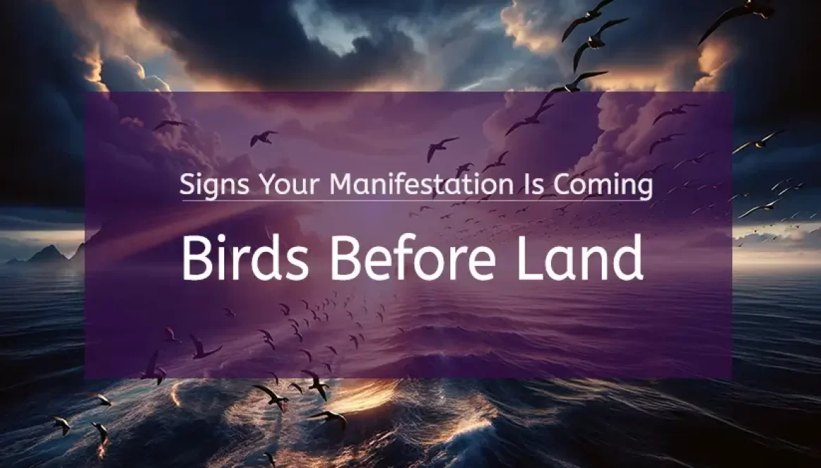 Birds Before Land: Signs Your Manifestation Is Coming