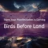 Birds Before Land: Signs Your Manifestation Is Coming