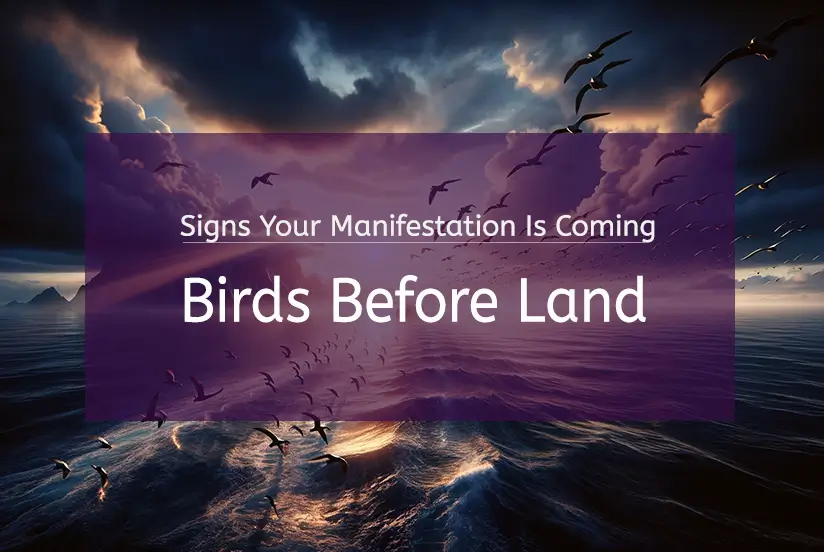 Birds Before Land: Signs Your Manifestation Is Coming