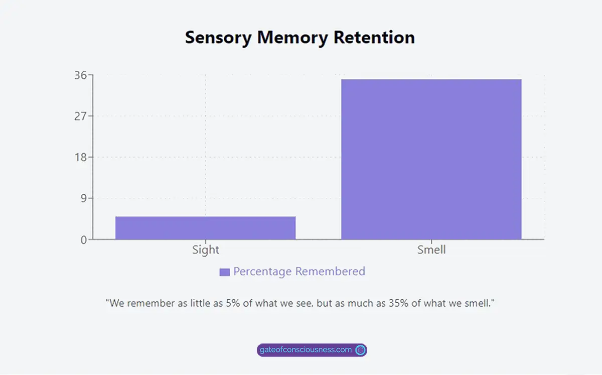 An infographic that provides a clear visual representation of the significant difference in memory retention between sight and smell
