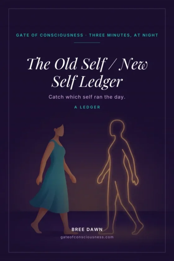 Old-Self-New-Self-Ledger-COVER